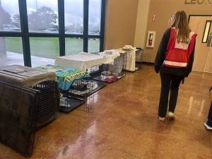 American Red Cross Serving Central and South Texas