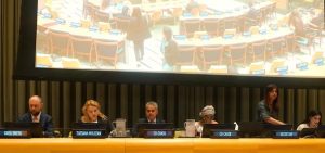 Bangladesh co-chairs multi-stakeholder panel session on Global Road Safety, calls for stronger institutions to save lives