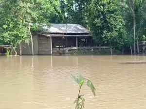 তল্লাশির সময় গাড়ি ফেলে চালক পালানোর পর প্রায় পৌনে চার কোটি টাকা মূল্যের স্বর্ণ উদ্ধার