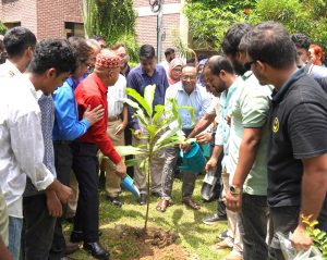হাবিপ্রবিতে বৃক্ষরোপন কর্মসূচি উদ্বোধন