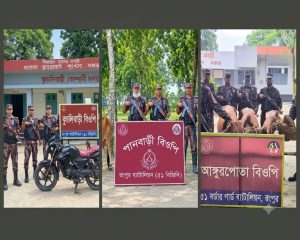 বিজিবির অভিযানে পাটগ্রাম সীমান্তে মোটরসাইকেল, ভারতীয় গরু জব্দ