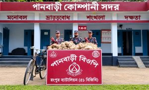 সীমান্তে পাচারের সময় বিপুল পরিমাণ পাট, বাইসাইকেল জব্দ