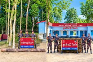 সীমান্তে বিজিবির অভিযান : পৌনে ১৭ লাখ টাকা চুইঝাল, গোল কাঠ উদ্ধার