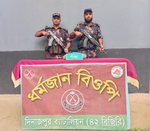 দিনাজপুরে বিরল সীমান্তে বিজিবি ২টি পৃথক অভিযানে মাদকদ্রব্য গাজা, ফেন্সিডিল উদ্ধার