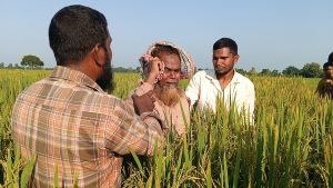 তেঁতুলিয়ায় জমি নিয়ে বিরোধ,ফলন্ত ধানক্ষেতে আগাছা নাশক প্রয়োগ; নিঃস্ব কৃষকের বুকফাটা আর্তনাদ, থানায় অভিযোগ