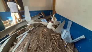 পেশোয়ারে স্কুলের ছাদ ধসে ৩৩ শিশু ও একজন শিক্ষক নিহত